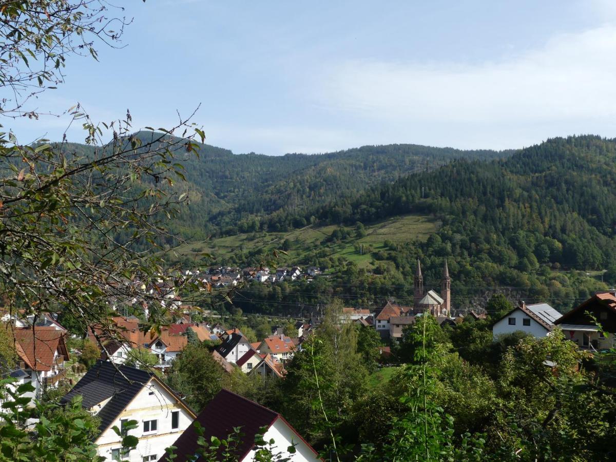 Ferienwohnungen Sonnenhalde Mit Schoener Aussicht Forbach Dış mekan fotoğraf
