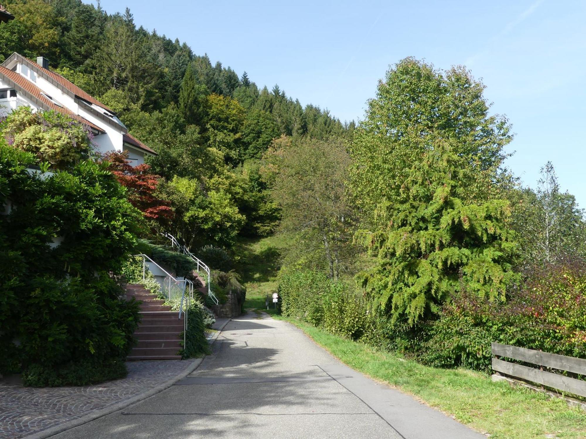 Ferienwohnungen Sonnenhalde Mit Schoener Aussicht Forbach Dış mekan fotoğraf